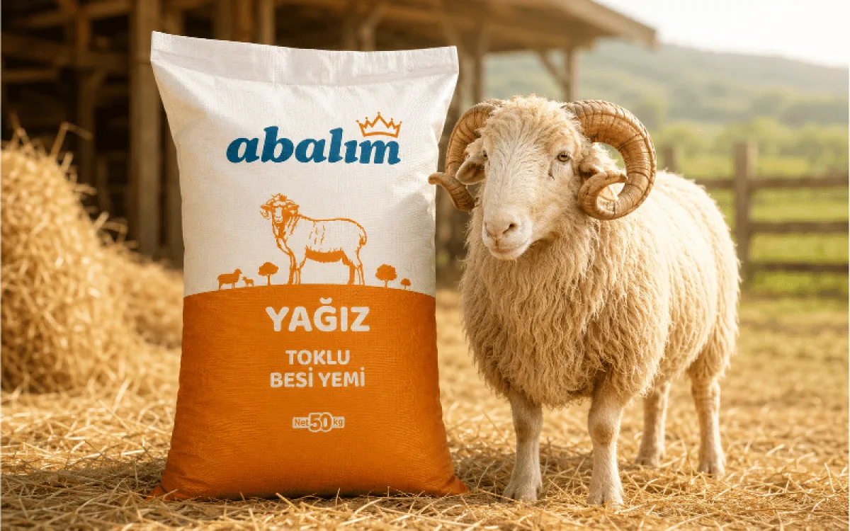 Yağız Toklu Besi Yemi